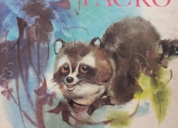 20190521_134112 Rudo Moric: Tulák Packo