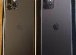 Apple iPhone 11 Pro 64GB = $500, iPhone 11 Pro Max 64GB = $550,iPhone 11 64GB = $450, iPhone XS 64GB = $400 , iPhone XS Max 64GB = $430