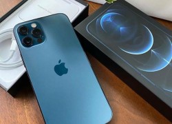 Apple iPhone 12 Pro 128GB cost 500 EUR, iPhone 12 Pro Max 128GB cost 650 EUR, iPhone 12 64GB cost 430 EUR,  iPhone 11 Pro 64GB cost 400EUR , iPhone 11