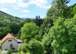 Dom na polo samote s veľkým pozemkom