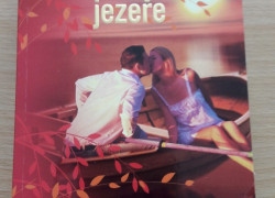 Susan Wiggsová: Léto na Vrbovém jezeře