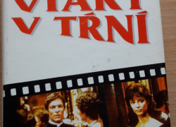 Colleen McCulloughová: Vtáky v tŕní