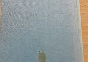 2-kniha-wolanovski-kawka-živé-striebro