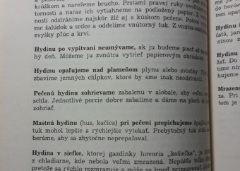 3-kniha-břízová-tisíc-rád-pre-domácnosť-strany