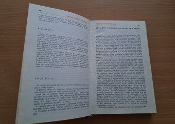 4-kniha-autom-po-ČSSR-strany