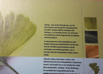 2-kniha-ginkgo-v-nemčine