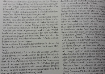 3-kniha-ginkgo-v-nemčine