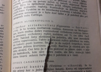 3-kniha-kobylka-izbové-kvetiny