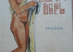 Apuleius: Zlatý osel čili Proměny