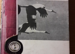 Basil Davidson: Linda a Jakub