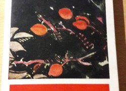 Ján Kostra: Šípky a slnečnice