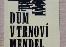 Mendel Mann: Dům v trnoví