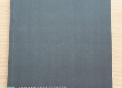 Arnost Schlesinger: Jugend in Unfreiheit