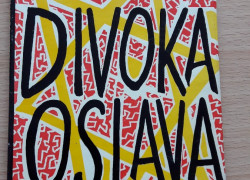 Adriaan van der Veen: Divoká oslava