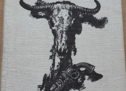 David Hamilton:Buffalo Bill proti Jessemu Jamesovi