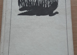 Kinnan Marjorie Rawlingsová : Dieťa divočiny