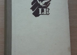 Ilja Erenburg: Deviata vlna I. diel