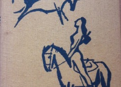 Rómulo Gallegos: Doňa Bárbara