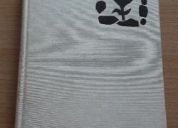 Herma Svozilová Johnová: Justina je svědek