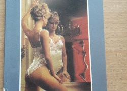 Joy Laureyová: Roztopašná Joy