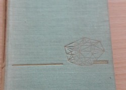 Ján Zábrana: Vražda se zárukou