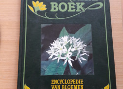 Het groene boek