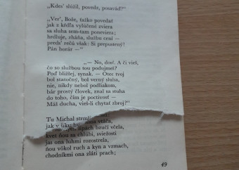 3-kniha-hviezdoslav-hájnikova-žena