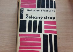 Bohuslav Březovský: Železný strop