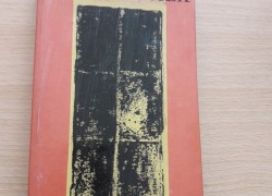 Jaroslav Havlíček: Synáček