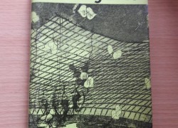 Daniele Sallenavová: Prízračný život