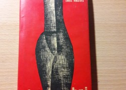 Libuša Mináčová: Kvet v ohni