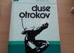 Ivan Aralica: Duše otrokov
