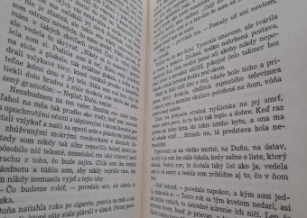 3-jana-gavalcová-len-neplač-v-pavučinách-strany