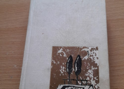 Martin Kukučín: Regrúti a iné poviedky