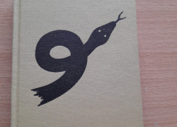 Neven Orhel: Rozruch na onkológii