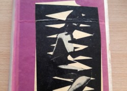 Jožo Nižnánsky: Čachtická pani