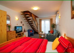 Penzion Minor ubytování České Budějovice