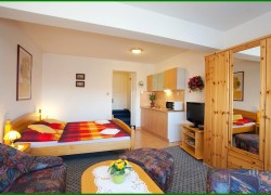 Ubytování České Budějovice - LEVNÝ PENZION