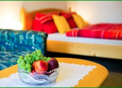 Azyl pro milence České Budějovice