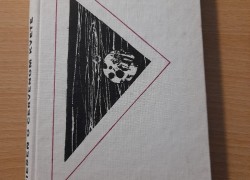 Johannes Linnankoski: Pieseň o červenom kvete