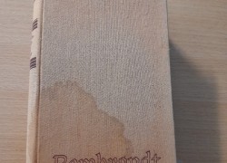 Hendrik Willem Van Loon: Rembrandt, jeho život a doba