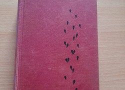 Colleen McCulloughová: Ptáci v trní