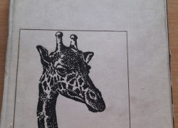 Do Afriky za zvěří