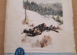 Peter Jilemnický: Kronika