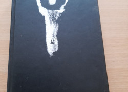 Dan Brown: Bod klamu