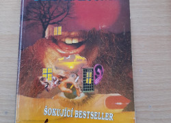 Dean R. Koontz: Místo zla