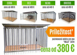 Koterce pre psa, Voliéra, Klietky pre psov