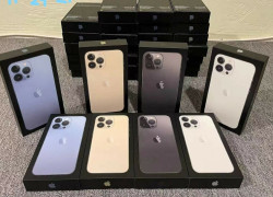Apple iPhone 13 Pro Max, iPhone 13 Pro, iPhone 13, iPhone 12 Pro Max, iPhone 12 Pro, iPhone 12, Samsung Galaxy S22 Ultra 5G, Samsung S22 5G