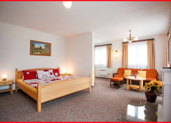 Milenecký azyl České Budějovice