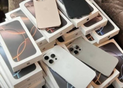 Apple iPhone 16 pro max, 16 pro, 16 plus, iPhone 16, 15 pro max, 15 pro, iPhone 15, 15 Plus, 14 pro max, Samsung Galaxy S25 Ultra, Samsung s25, S25+